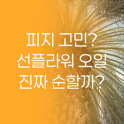 피지 고민 끝! 디렉터파이 선플라워 