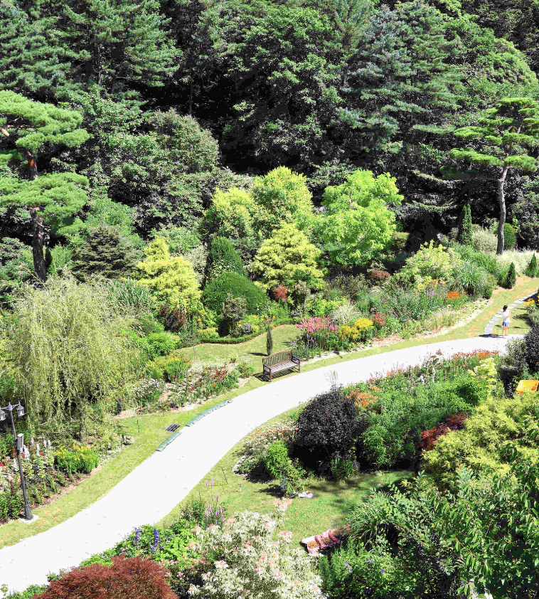 아침고요수목원 정원