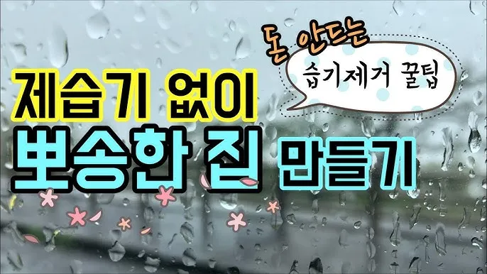 제습기 없이 습기 제거 끝 숯 염화칼슘 등 천연 제습제 활용법 완벽 가이드_2