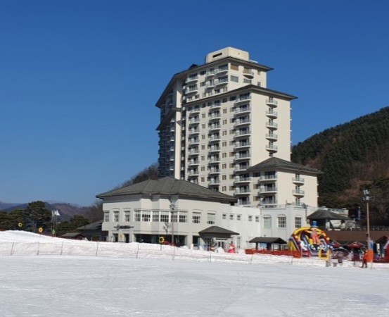 콘도