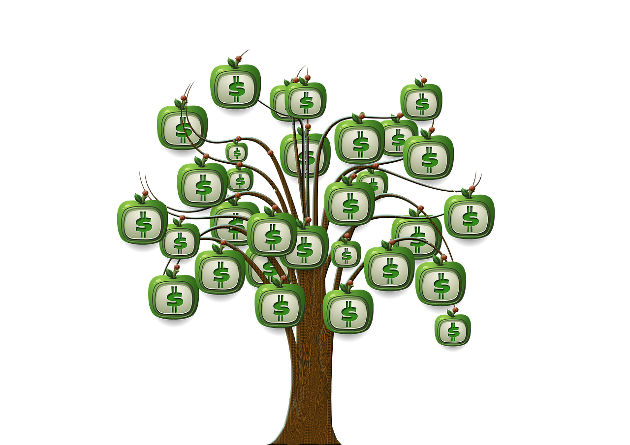 해외 직구 꿀팁 (배송비, 통관, 환율)에 대한 사진