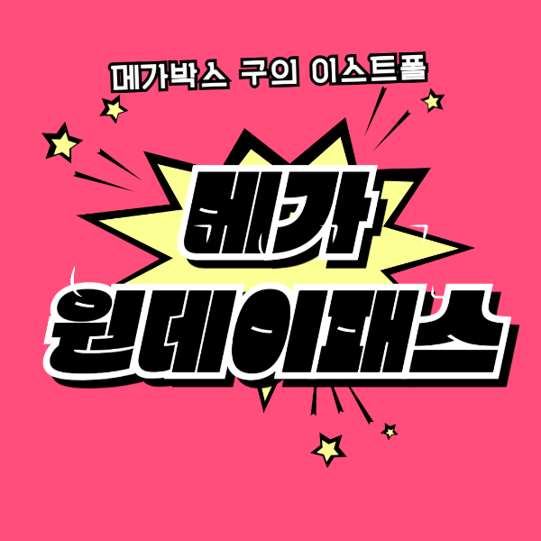 메가 원데이 패스