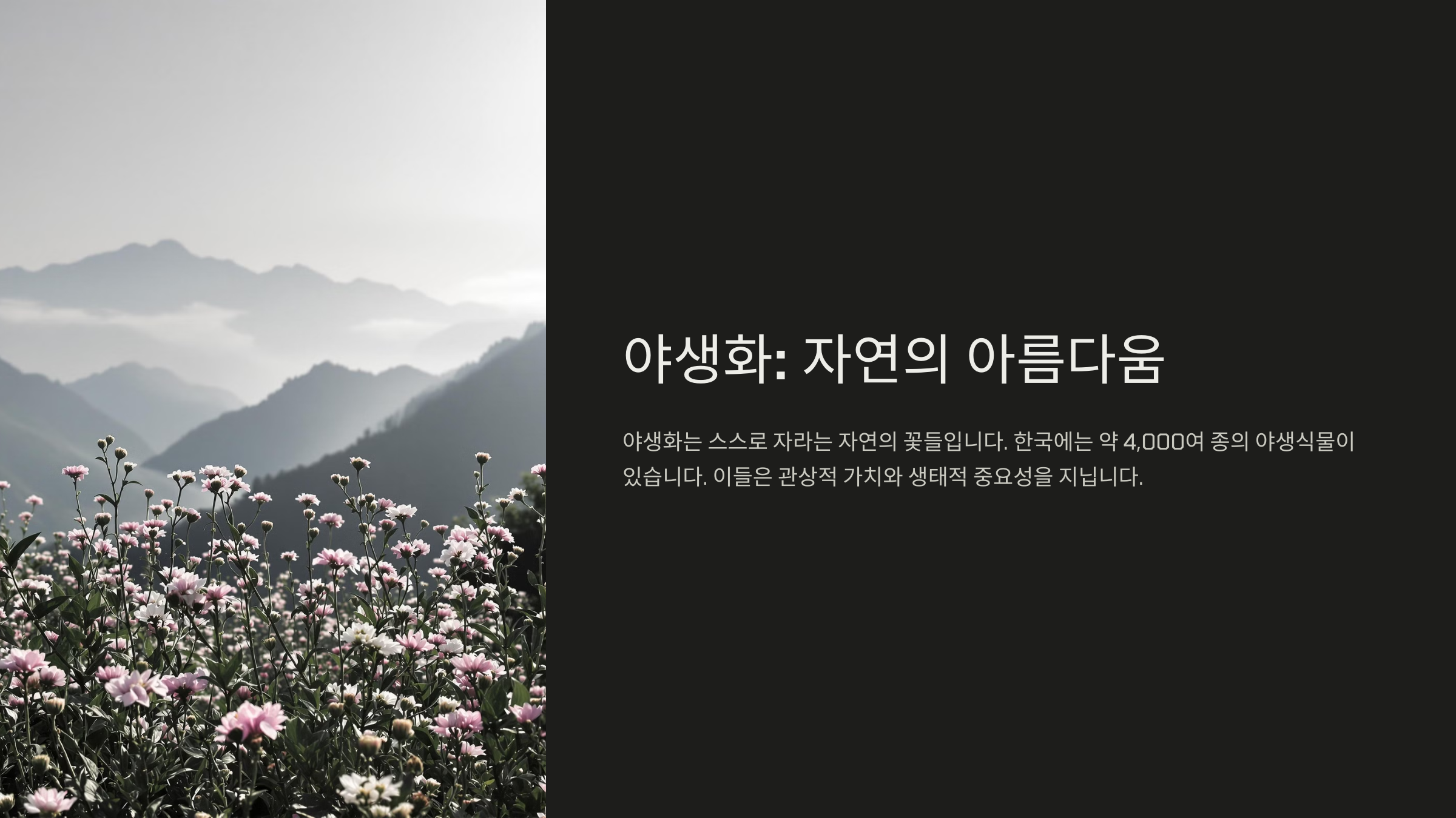 봄꽃 종류 야생화 종류 정리