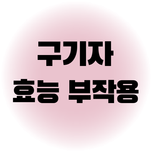 구기자 효능 부작용