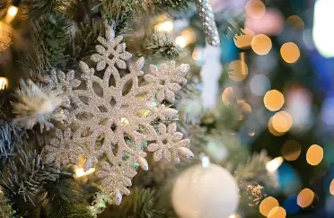 DDP 겨울축제 2023 &amp;#124; 겨울축제