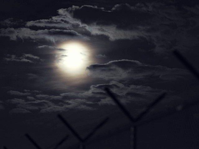 SKT 무상 유심교체