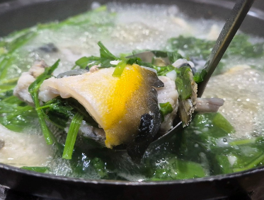 6시내고향 숭어회 숭어요리 횟집