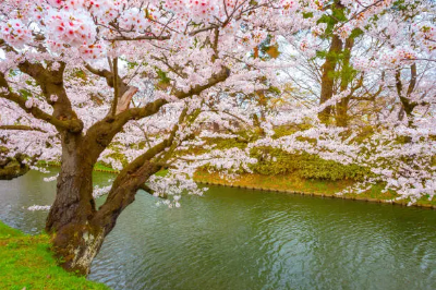 5월-꽃구경-명소