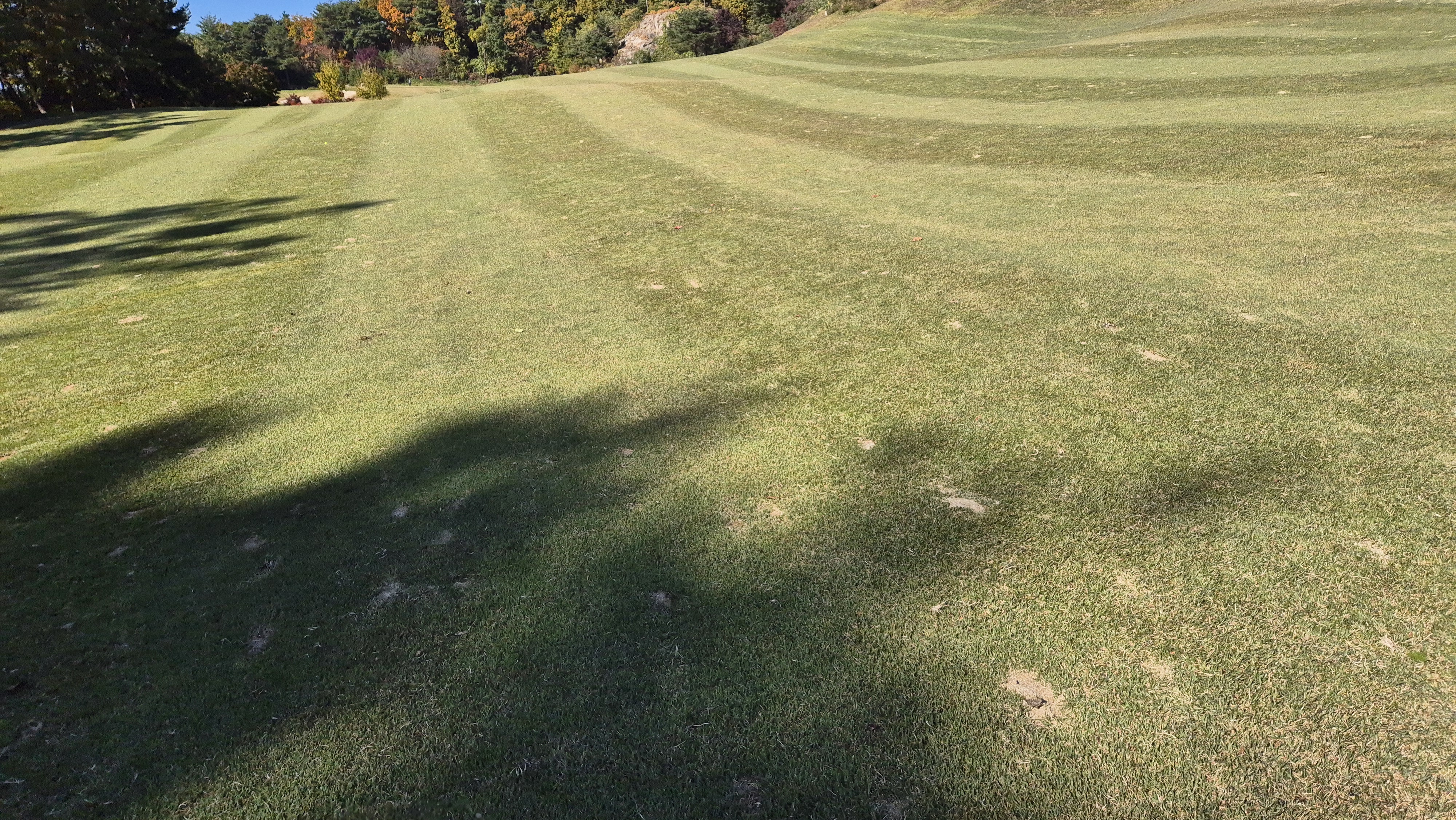 동촌gc 코스 관리 상태