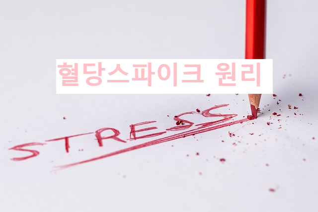 혈당스파이크 원리 (인슐린, 혈당곡선, 대처법)