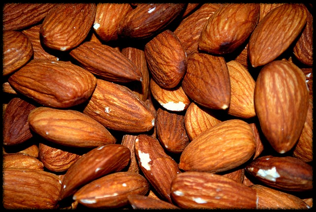 아몬드 효능_그림3