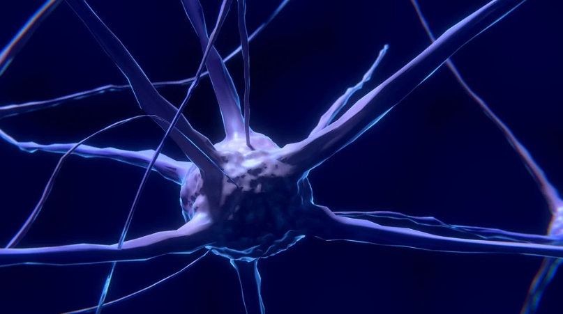 자율신경계 이상 증상과 치료: 원인부터 해결책까지 총정리