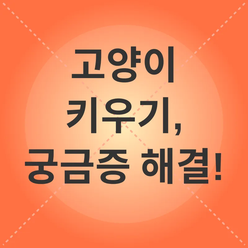 고양이 키우기_4