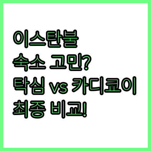 이스탄불 여행 어디서 잘까 탁심 vs..