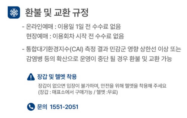 서울광장 스케이트장