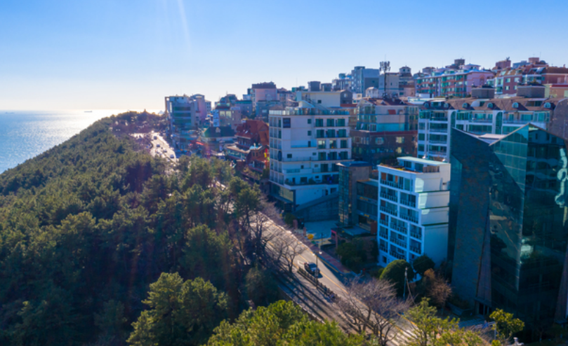 해운대구 달맞이길 도로 사진