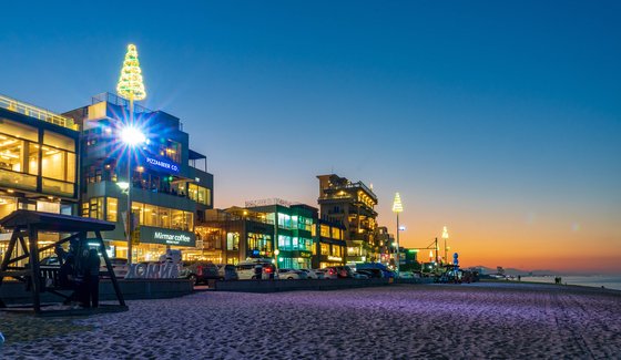 감성 충전 완료! 힐링되는 국내 카페 여행지 추천 강릉