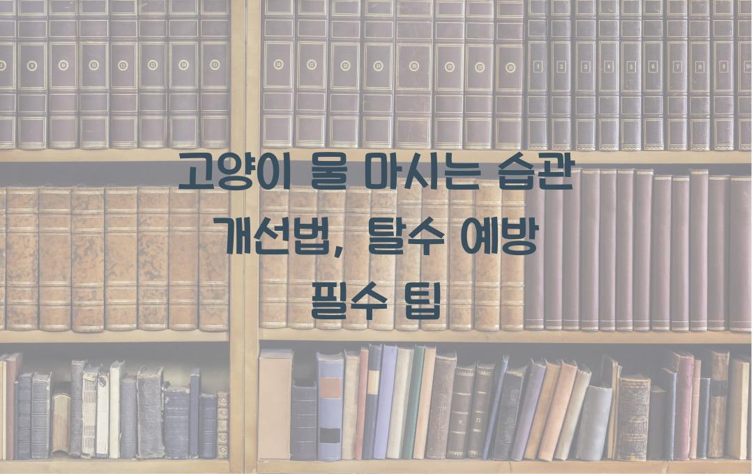 고양이 물 마시는 습관 개선법, 탈수 예방을 위한 필수 팁
