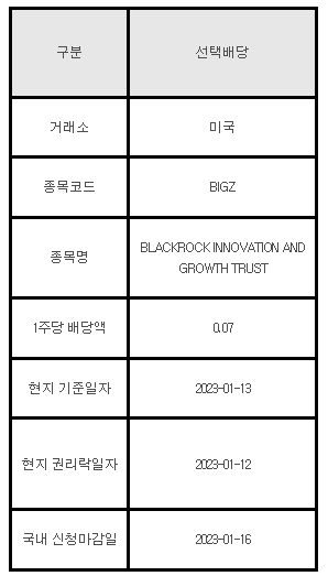 미국주식 선택배당 안내 BIGZ