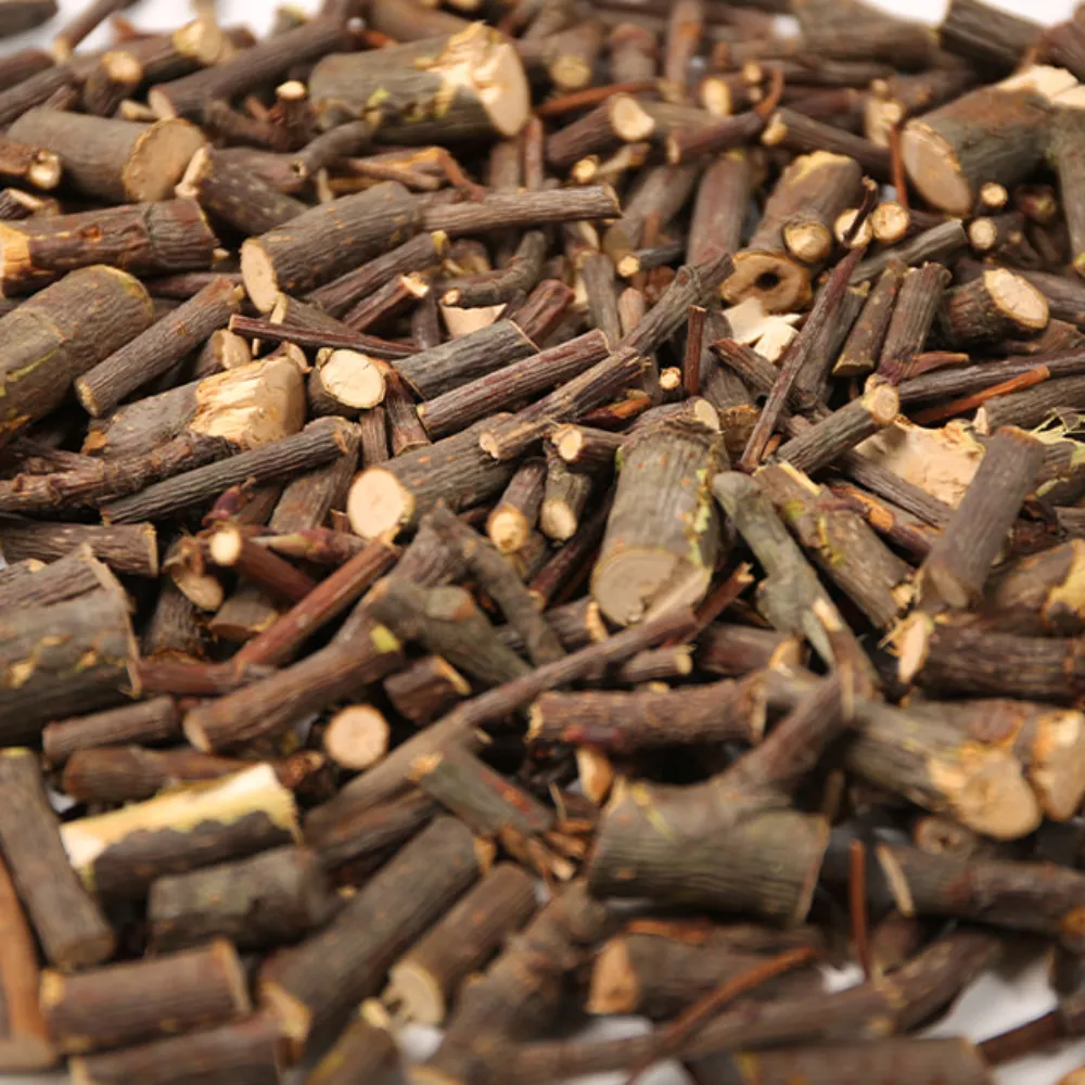 오가피나무 줄기