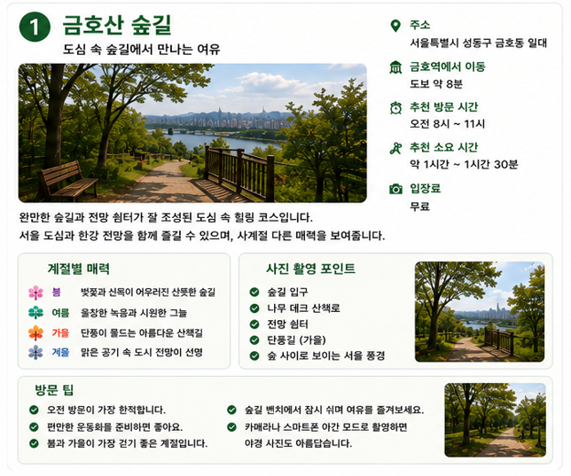 금호산 숲길