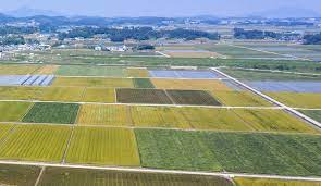 농지연금