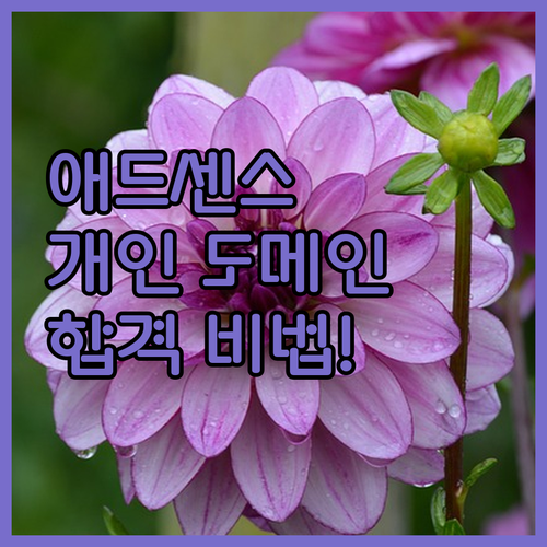 개인 도메인 에드센스 승인, 이제 걱