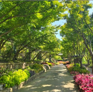 화담숲 사진
