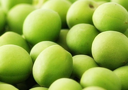 맑은-연두색의-매실들