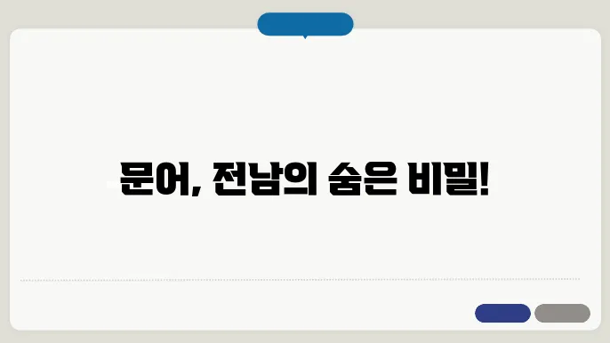 전남 문어 금어기