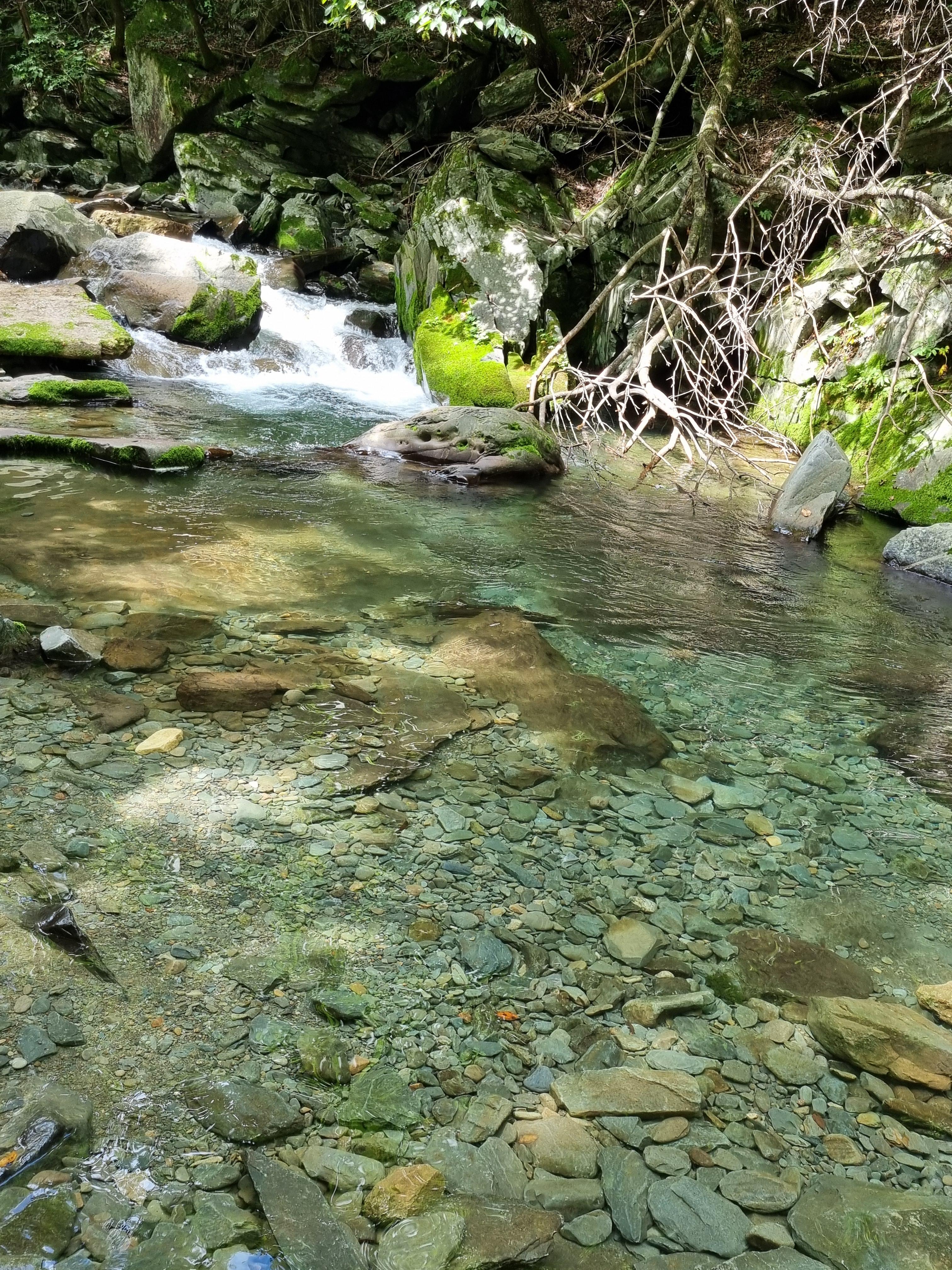장전계곡 물 깊이