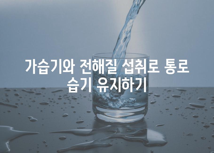 가습기와 전해질 섭취로 통로 습기 유지하기