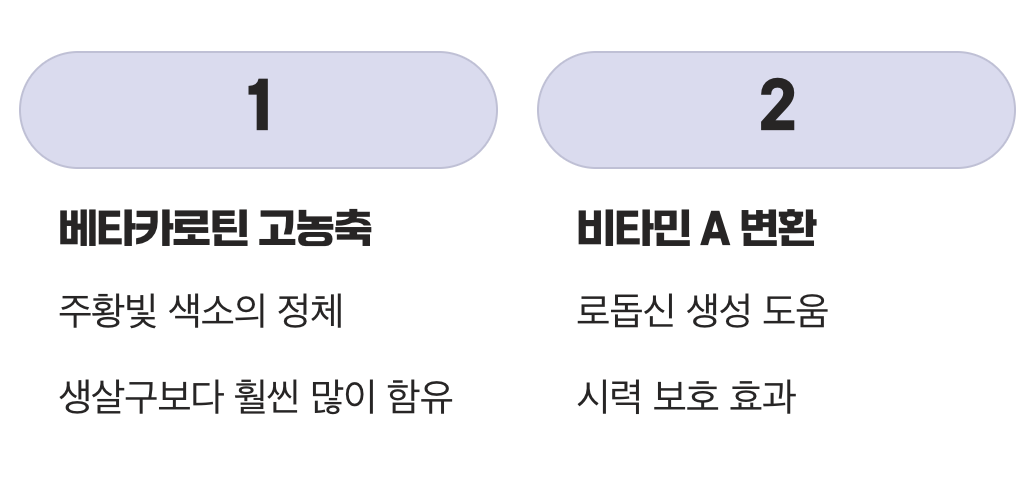 2. 눈 건강을 위한 '고농축' 베타카로틴
