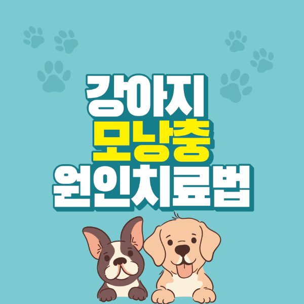 썸네일-문구-강아지-2마리