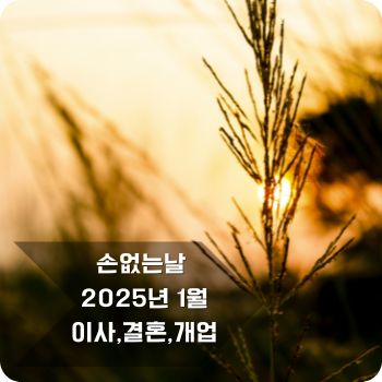 손없는날 1월 달력, 이사, 결혼, 개업