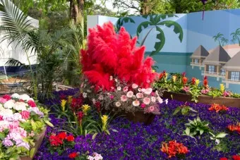 2025 고양국제꽃박람회 일정 사전예약 할인_12