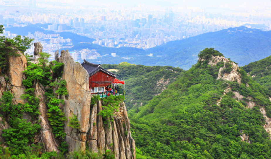 과천시&amp;#44; 과천&amp;#44; 과천지식정보타운&amp;#44; 과천지정타&amp;#44; 지정타 뉴스_과천시&amp;#44; 원도심-지식정보타운 연결 갈현삼거리 횡단보도 개통