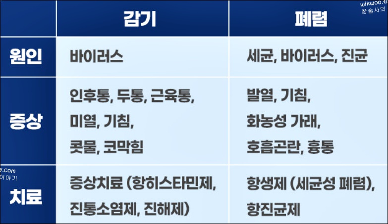 감기&#44;폐렴 차이