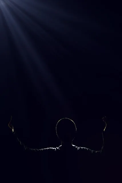 초저조도 식물 추천 빛부족집 관리요령 물주기간격 식물등활용_7