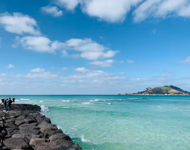 제주도 렌트카 비교사이트