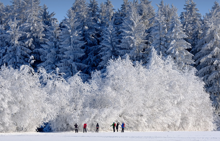 지역별 겨울축제 소개 관련사진
