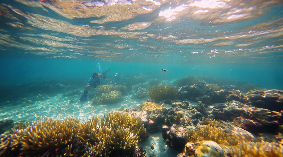 스노클링-수영하는-가족-01