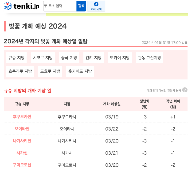 일본 개화시기 확인하기