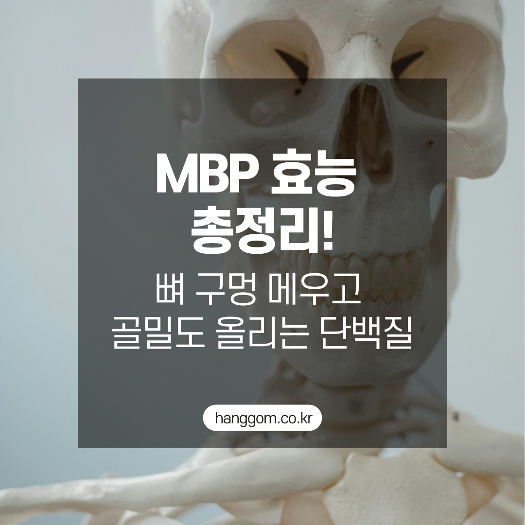 TV조선 <굿모닝 정보세상> 1227회- MBP 효능 총정리! 뼈 구멍 메우고 골밀도 올리는 단백질