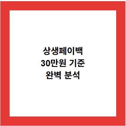 상생페이백
30만원 기준
완벽 분석