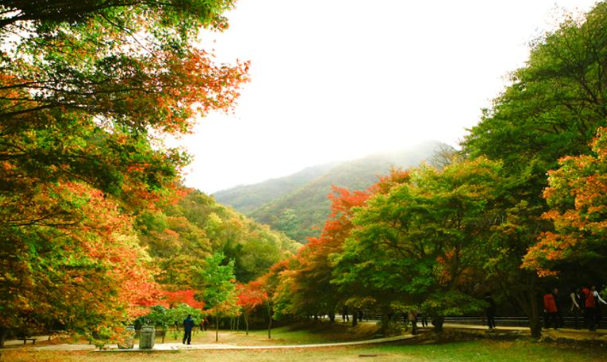 내장산 국립공원