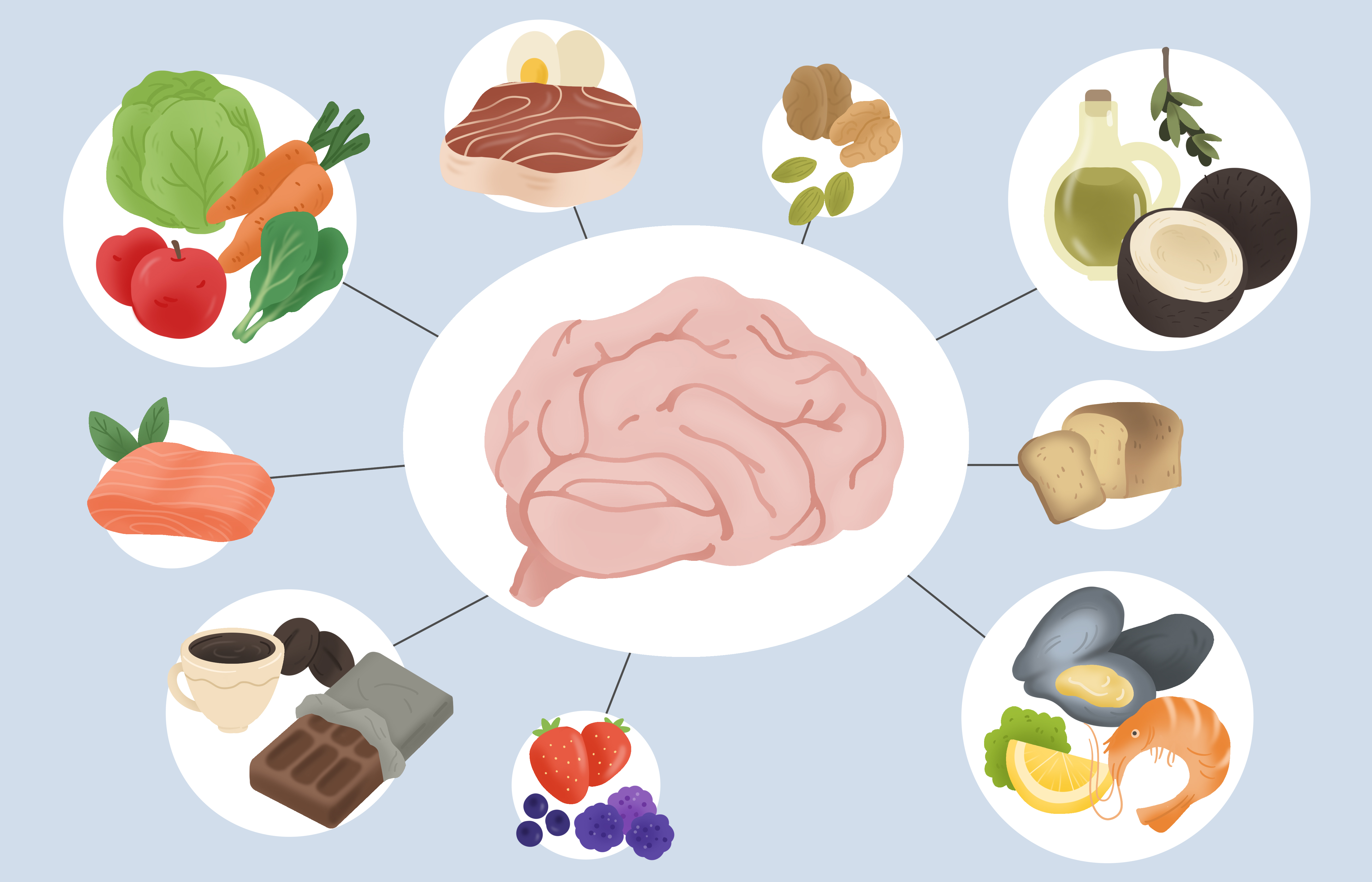 학생들을 위한 두뇌 영양식 (집중력, 브레인푸드, 기억력)