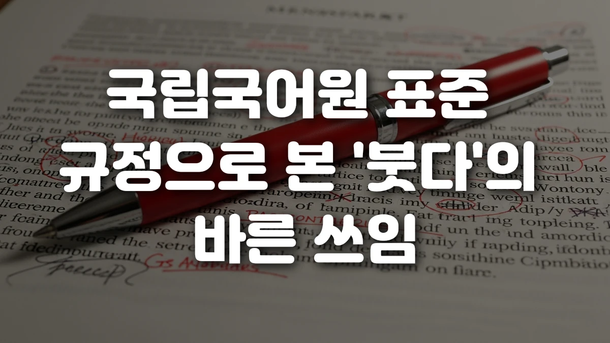 국립국어원 표준 규정으로 본 붓다 의 바른 쓰임