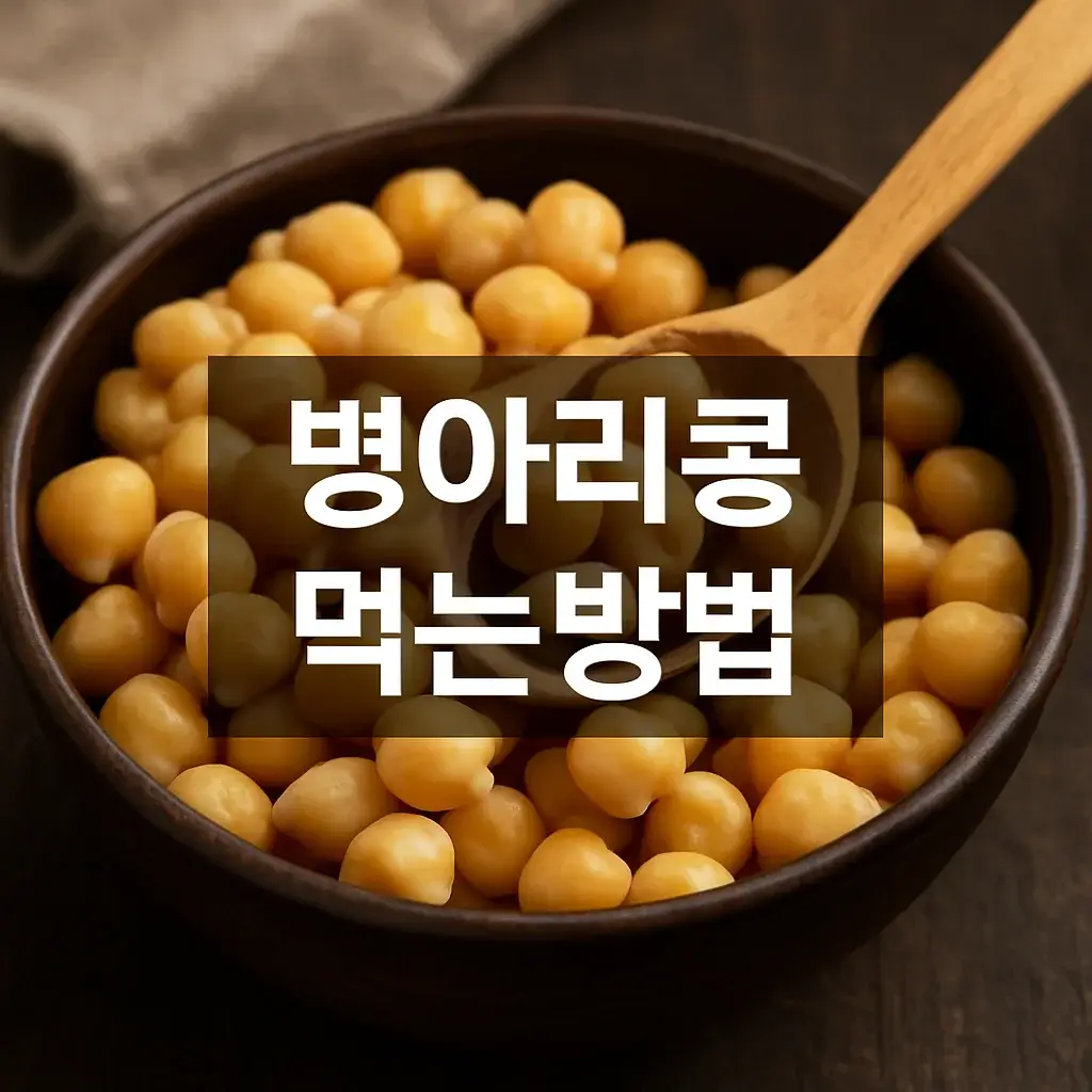 병아리콩 먹는방법