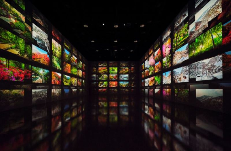 단풍구경 필수 꿀팁, 포토존